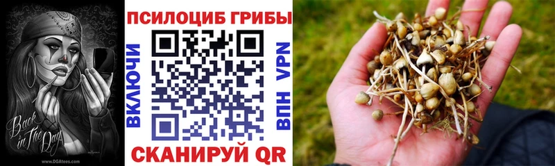 Галлюциногенные грибы прущие грибы  хочу наркоту  сайты даркнета клад  Строитель  МЕГА сайт 